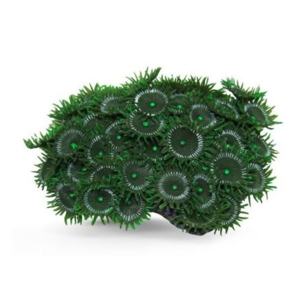 Colonie de corali artificiali verzi